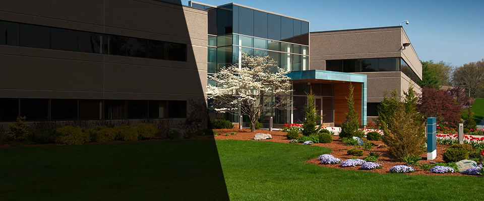 Gladstone Landscapers