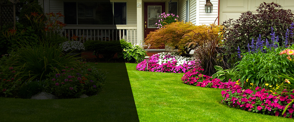 Gladstone Landscapers