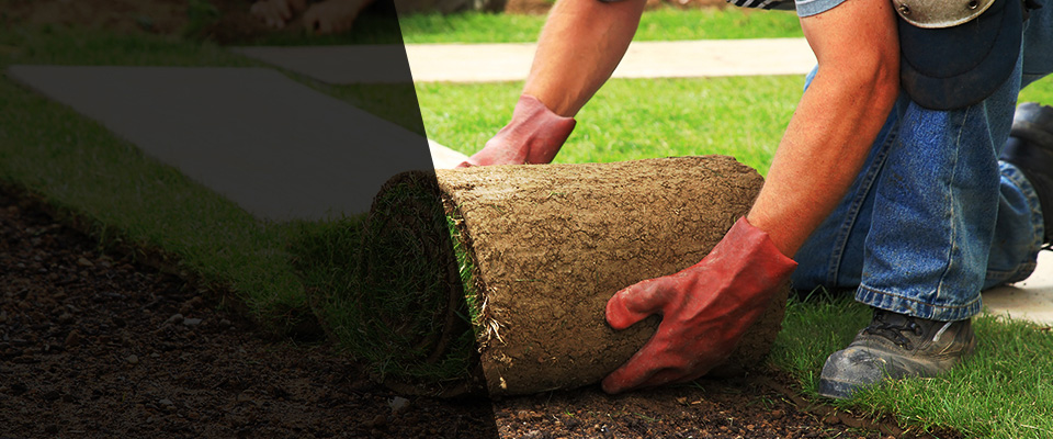 Gladstone Landscapers
